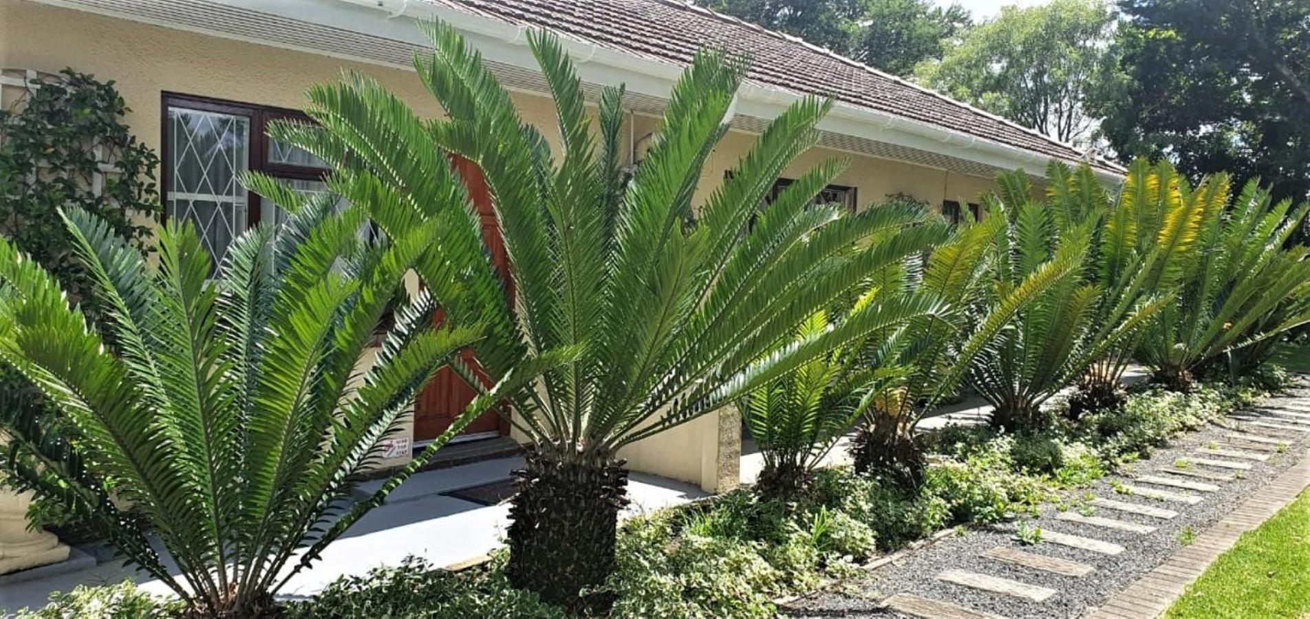 Chez Nous Bed And Breakfast & Self Catering Dundee Zewnętrze zdjęcie