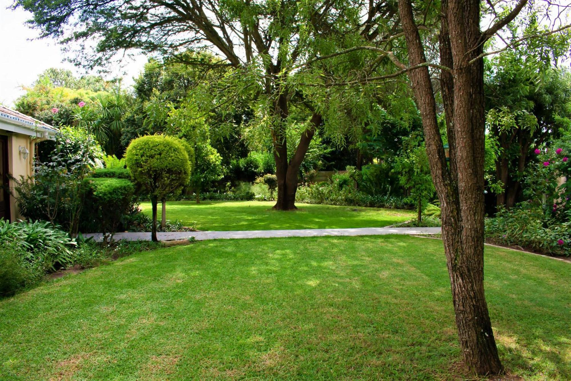 Chez Nous Bed And Breakfast & Self Catering Dundee Zewnętrze zdjęcie