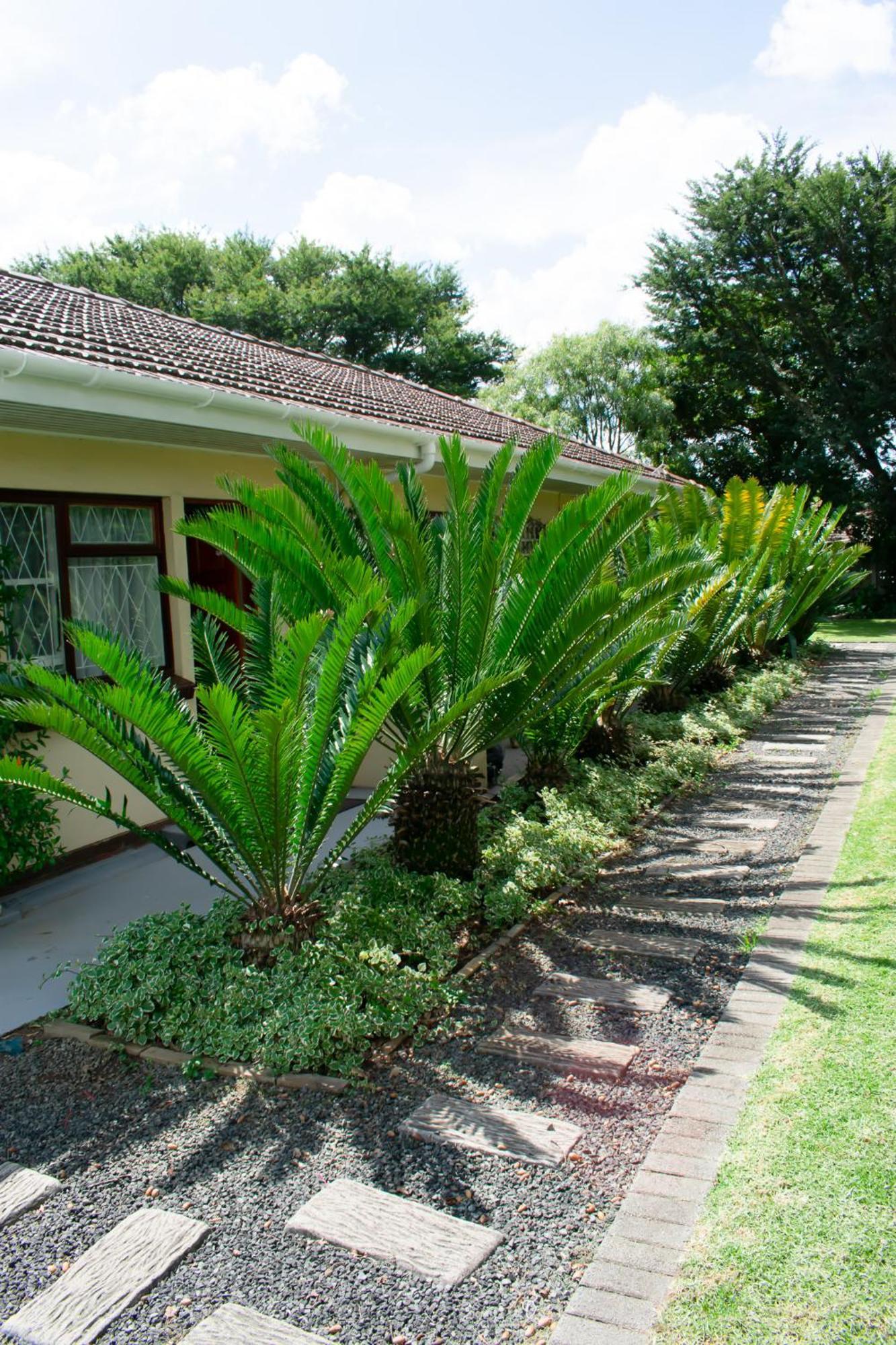 Chez Nous Bed And Breakfast & Self Catering Dundee Zewnętrze zdjęcie